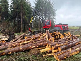 Agri jobs: forestry harvesting technicians and horticulture operatives in demand