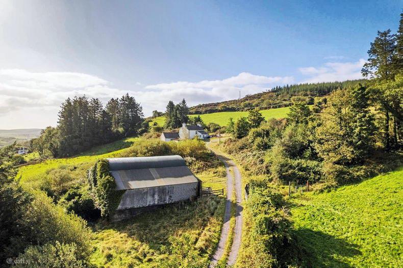 Forestry income and rural appeal on offer near Bantry for €850,000