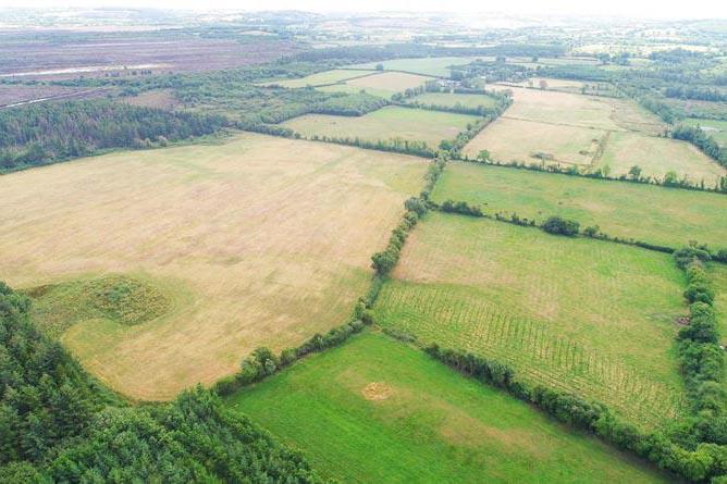Two south Tipperary farms offer expansion and investment scope