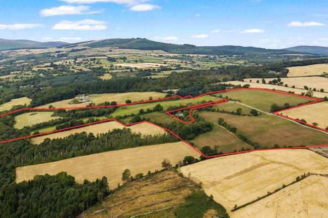 Wicklow farm with tillage and grazing land guides at €700,000