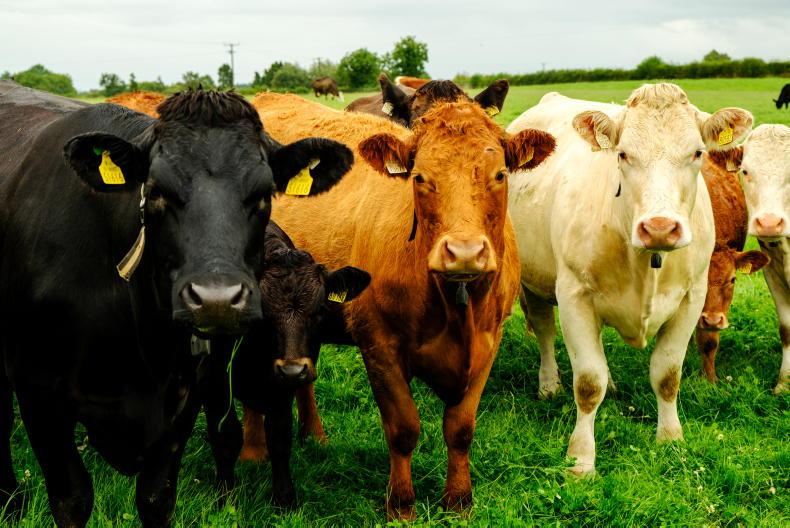 EU farm subsidies fall to lowest share of farm incomes in quarter of a century