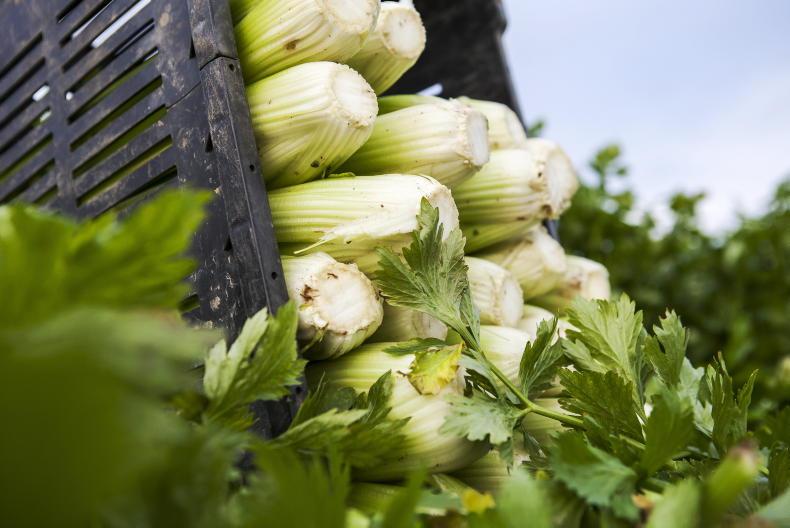 €4m seized in France in fraud involving fruit and vegetable producers