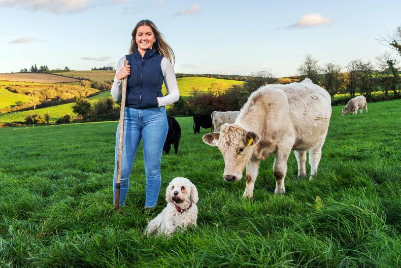 Inside the farming life of west Cork's two-time Queen of the Plough