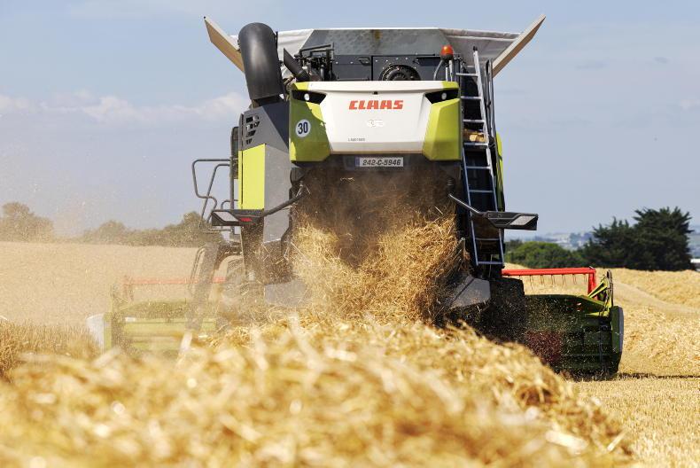 No tillage farmers left in 16 years at current rate of decline - Macra