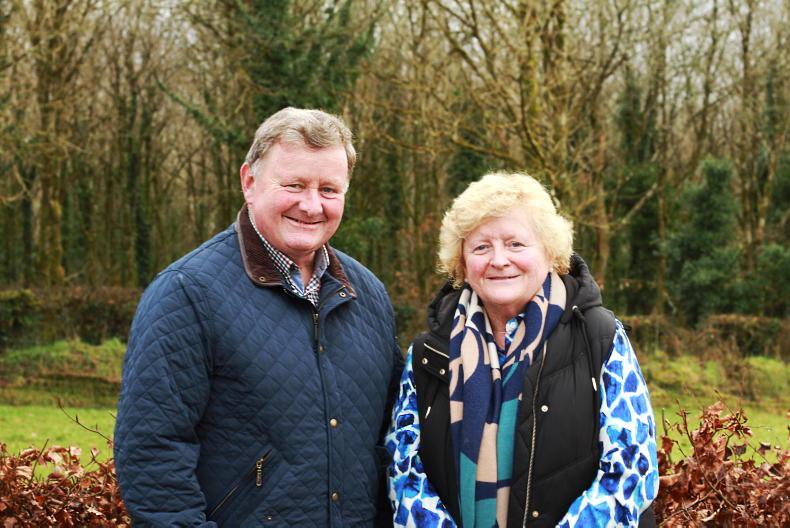 Carrick livestock society to mark 100 years with pedigree show and sale