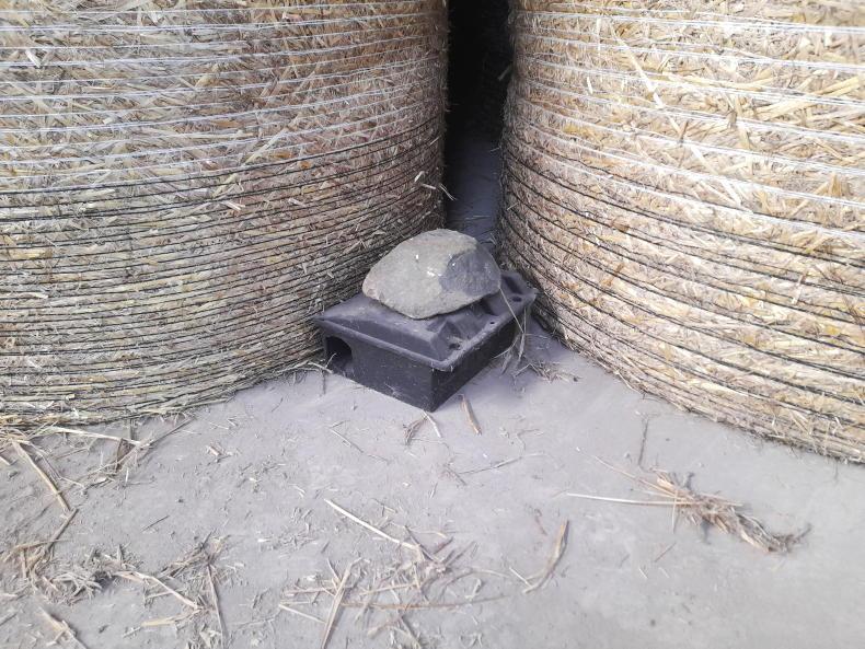 Training completed in rodent control
