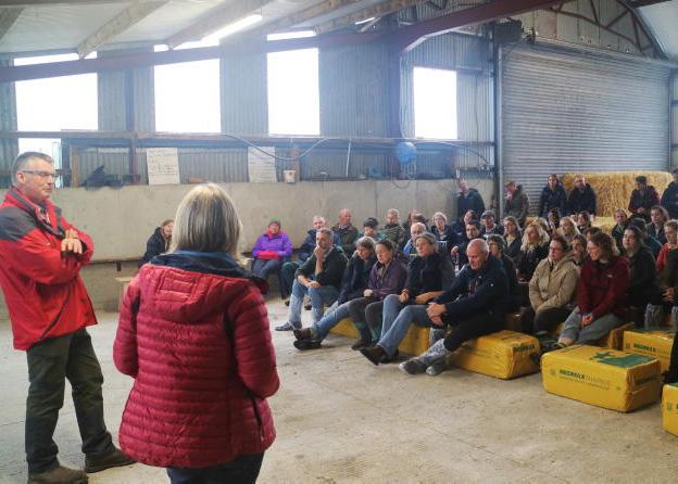 Covering all the flock health bases in Kilkenny