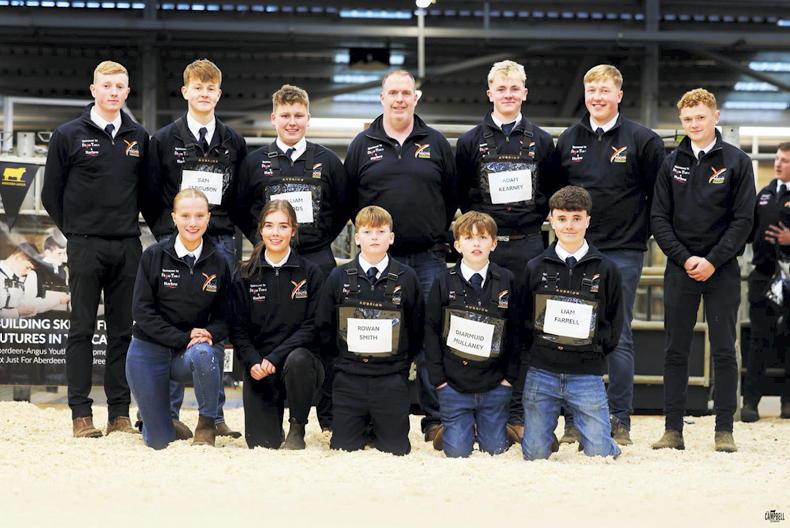 Watch: Team Ireland takes home prizes from Aberdeen Angus finals in England