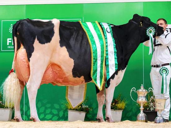 Fame makes history in Millstreet