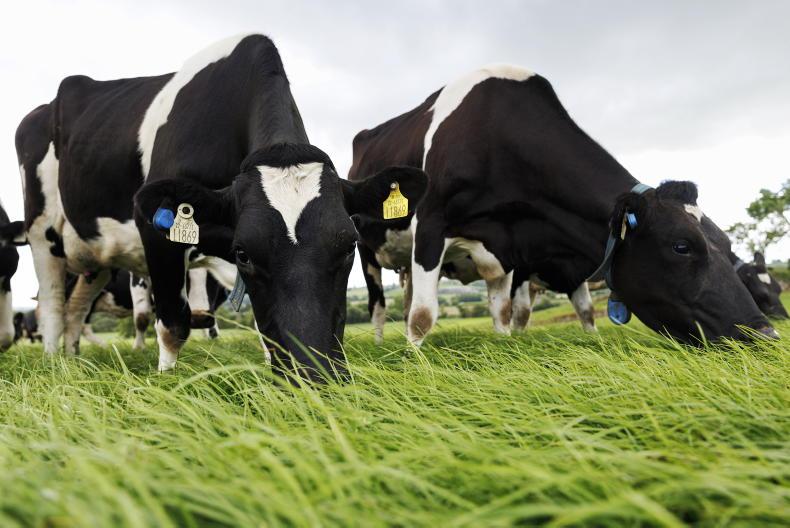 Drought exposed Irish grass-fed image may be fragile – Ornua CEO
