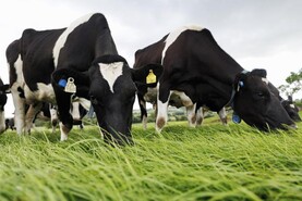Drought exposed Irish grass-fed image may be fragile – Ornua CEO