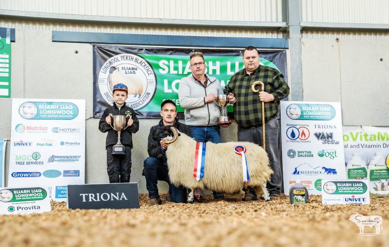 New breed record of €12,600 for Longwool Perth sheep