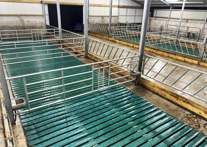 Key considerations with cattle lying and pen space this winter