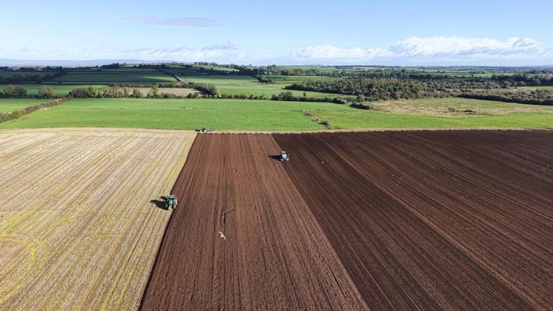 Tillage management: Sowing a scramble in mixed weather