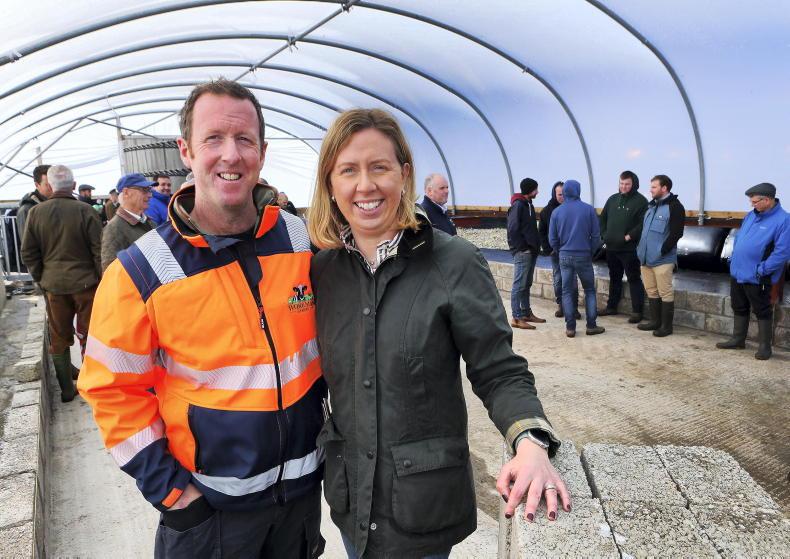 High health and welfare on M&S farm