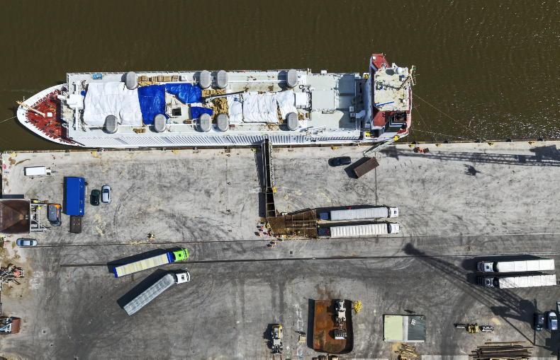 Live export boost as 1,700 bulls set sail for Algeria
