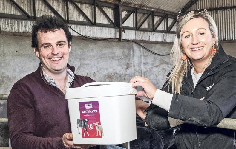 How Steven Normoyle built calf-rearing system that works around a full-time job