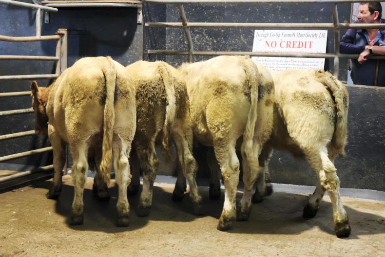 MartBids Database: price slippages despite solid factory trade