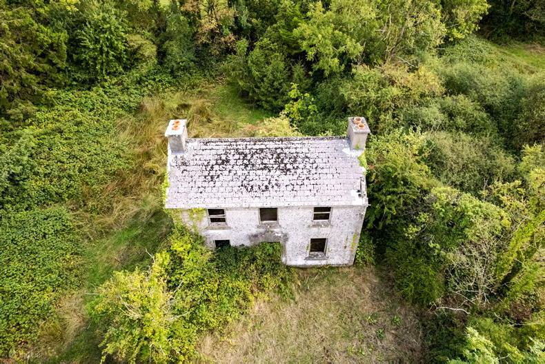 62-acre Kilkenny farm with two farmhouses guides at €1.17m