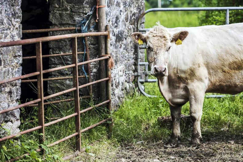 Farmers can apply for AIB loans from €25,000 to €3m under expanded scheme