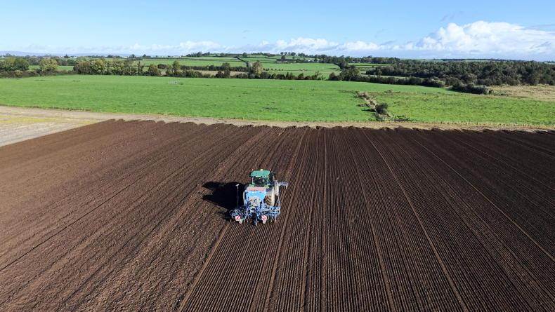Tillage Podcast: new mill, malt and sowing