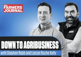 Down to Agribusiness: gas prices, Kilkenny cheese and food v solar  