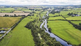 Purchasing land: ‘you can buy gold too dear’ - Teagasc