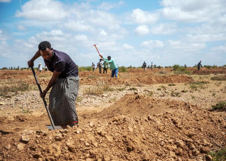 Harnessing Somaliland’s extreme floods to re-green the deserts with grasses