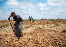 Harnessing Somaliland’s extreme floods to re-green the deserts with grasses