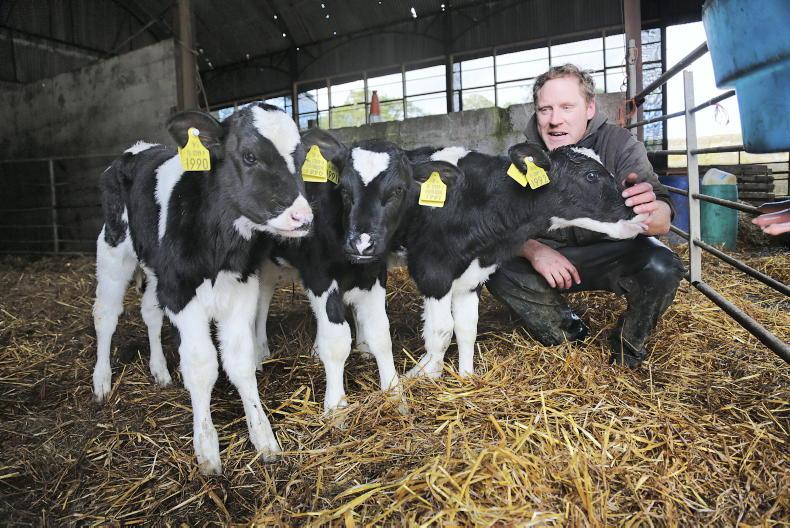Gerald Burns appointed chair of North Cork Creameries