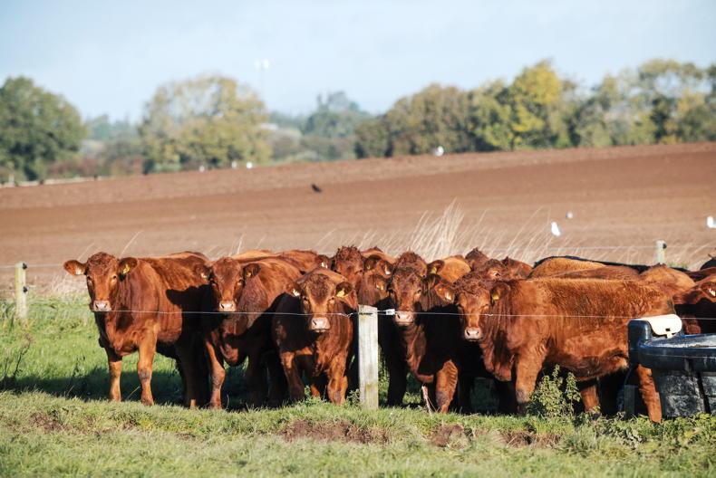 Farm finances: every farmer is busy, but are you a busy fool?      