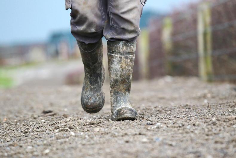 Mayo farmer to represent himself in upcoming animal welfare trial