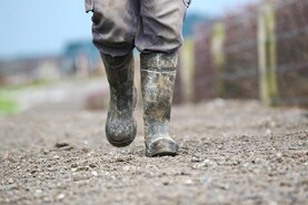 Mayo farmer to represent himself in upcoming animal welfare trial
