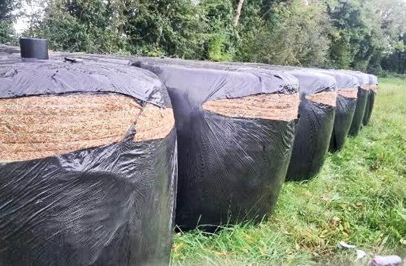 ‘It wasn’t just a hit and miss job’ - Offaly farmer’s silage bales slashed open