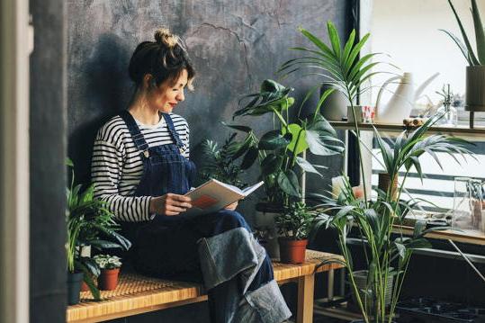 Best gardening books for Christmas: expert picks for all skill levels