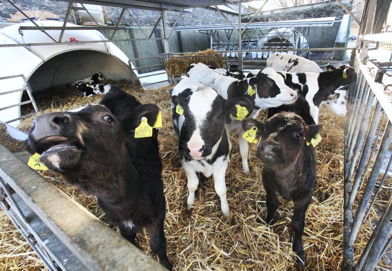 Researcher sets out science behind feeding and weaning