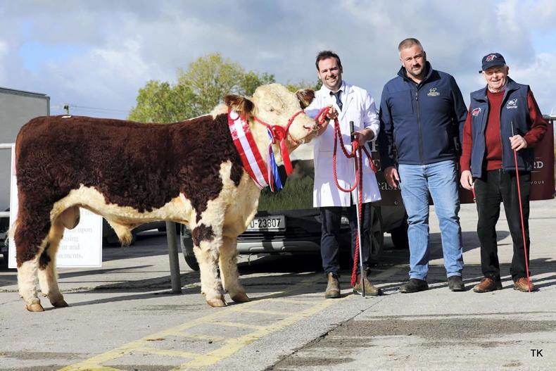 New record price for Hereford bull in Kilmallock