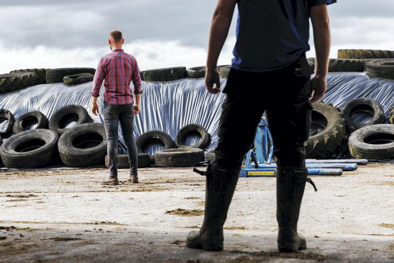 Westmeath dairy farm worker awarded €23,000 in WRC settlement