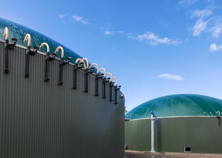 NI biomethane investment at risk without Stormont action