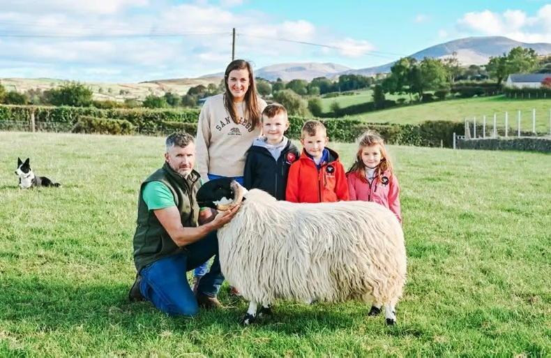 Rian O'Hare sets new Mourne blackface sheep breeders record 