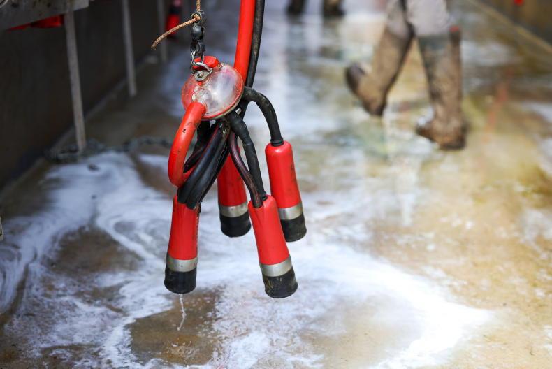 Carbery increases September milk price amid mixed market conditions
