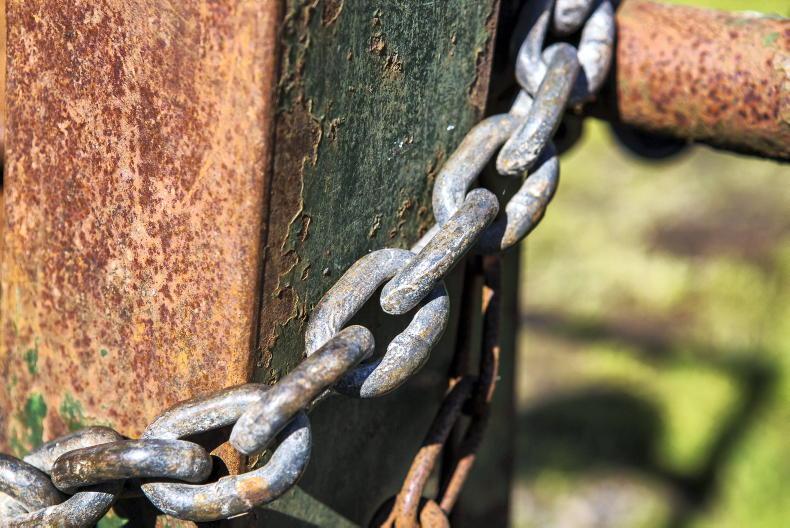 Top 10 ways to prevent livestock theft on your farm 