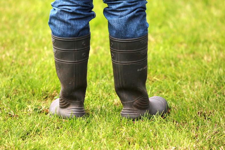 Jury discharged in trial of Mayo farmer accused of animal cruelty