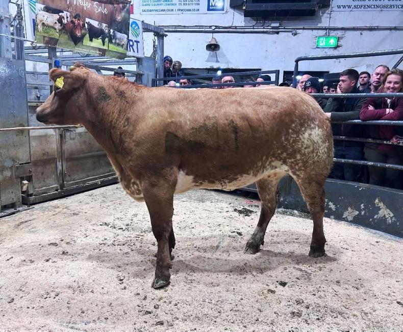 Swatragh 'showstoppers' in strong demand