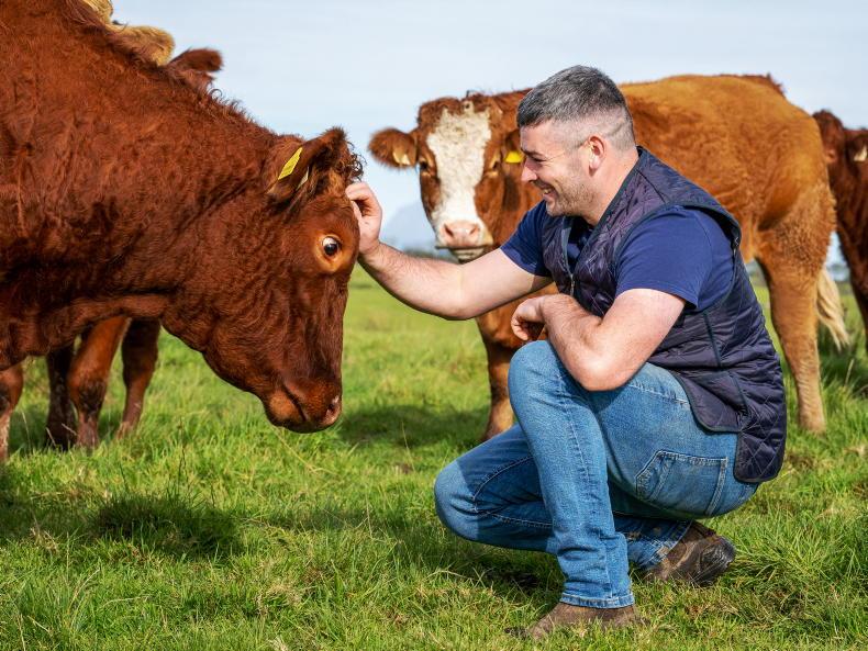 My Farming Week: the cattle trade that suits a farmer working full-time off farm
