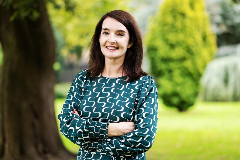VAT issues still outstanding at National Dairy Council