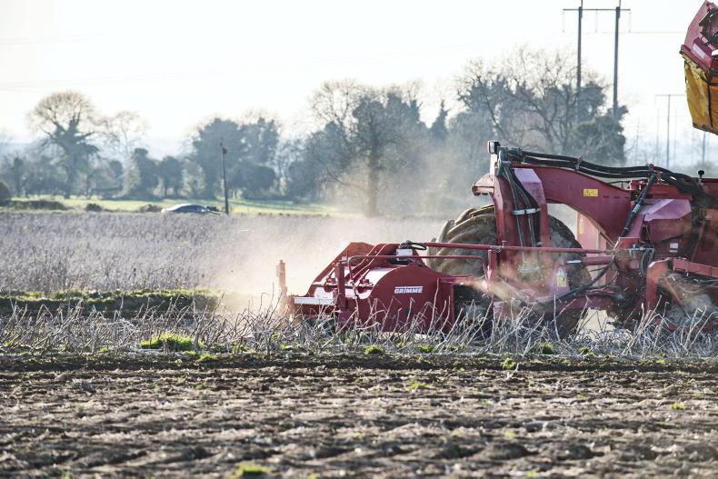 Editorial: what will 10 billion people eat?
