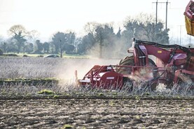 Editorial: what will 10 billion people eat?