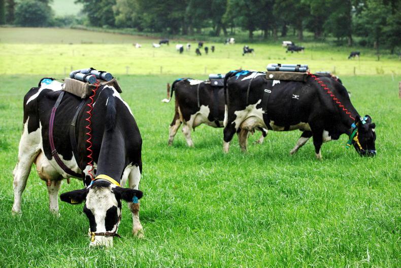 No livestock cuts ‘at the moment’, says DAERA