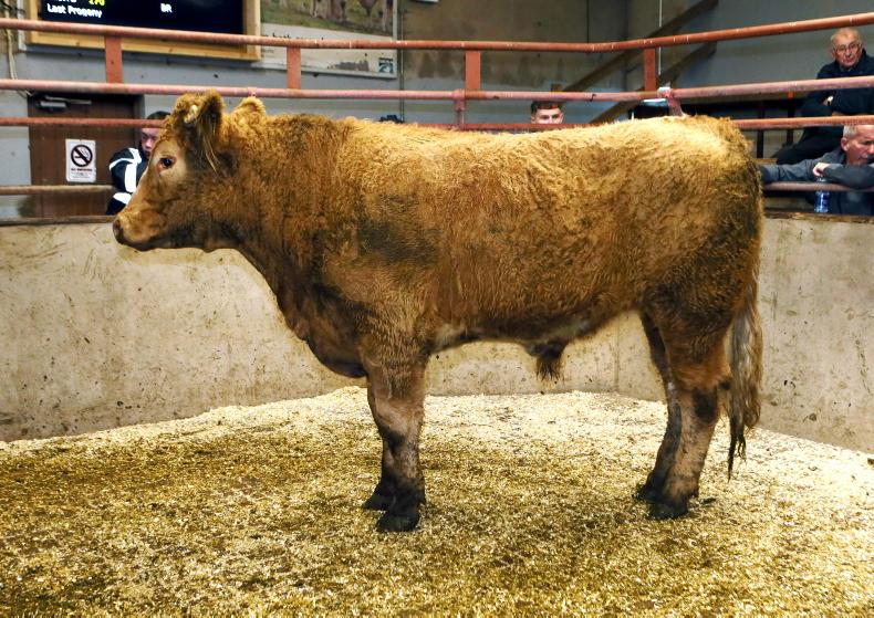 Northern View: higher numbers put a lid on prices